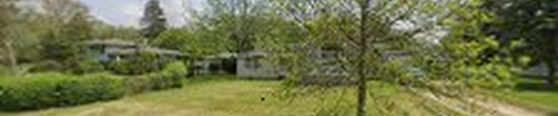 Mighty Oak Tree service INC