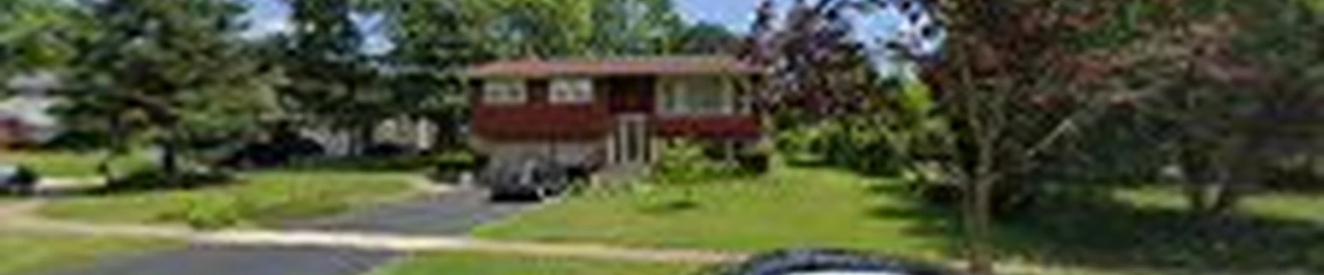 US Tree Service