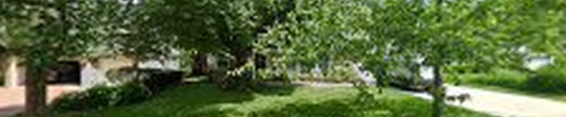 MacDougall Tree Service