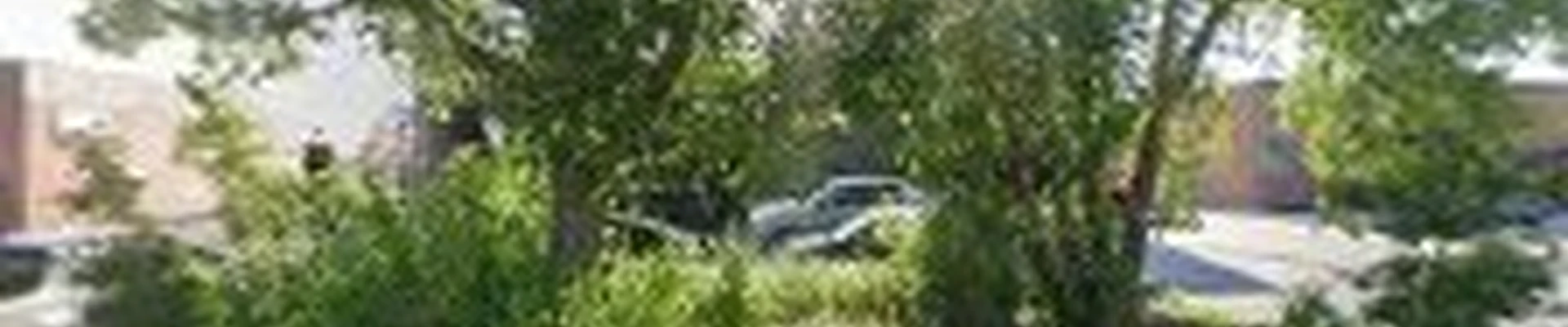 Hendricksen Tree Care Co.