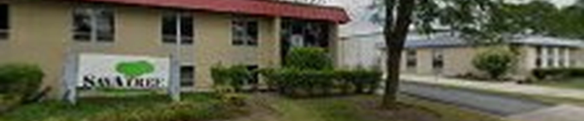 SavATree - Tree Service & Lawn Care