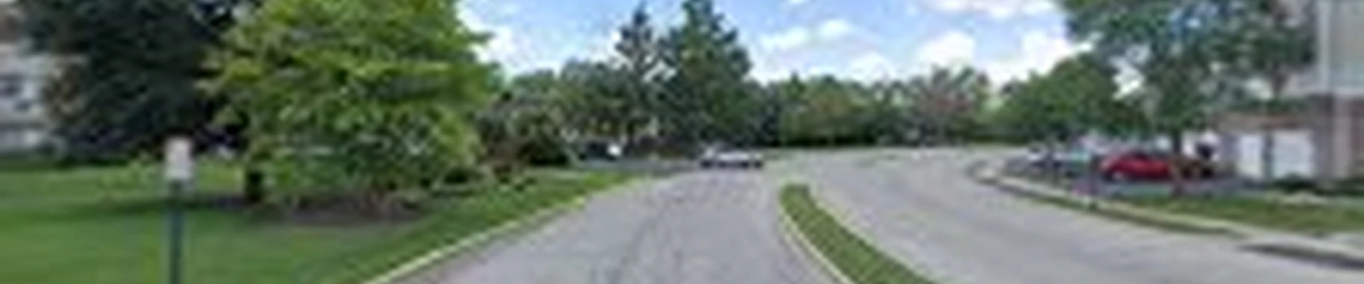Green Yards Group Tree Service