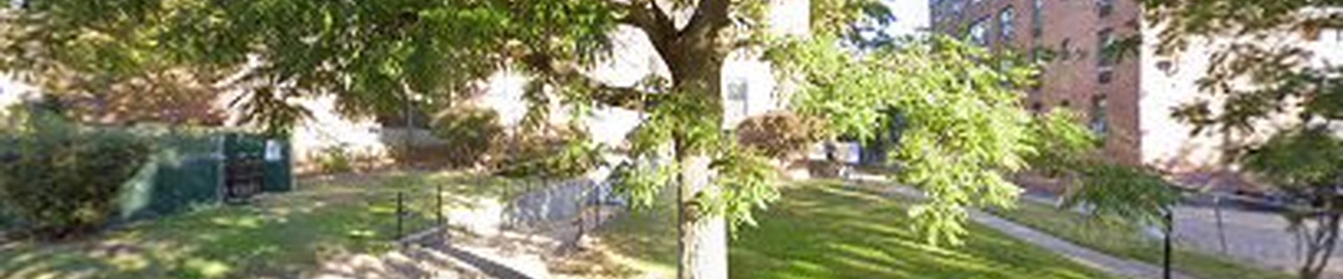 T﻿re﻿e Ser﻿vice﻿ Nassau County