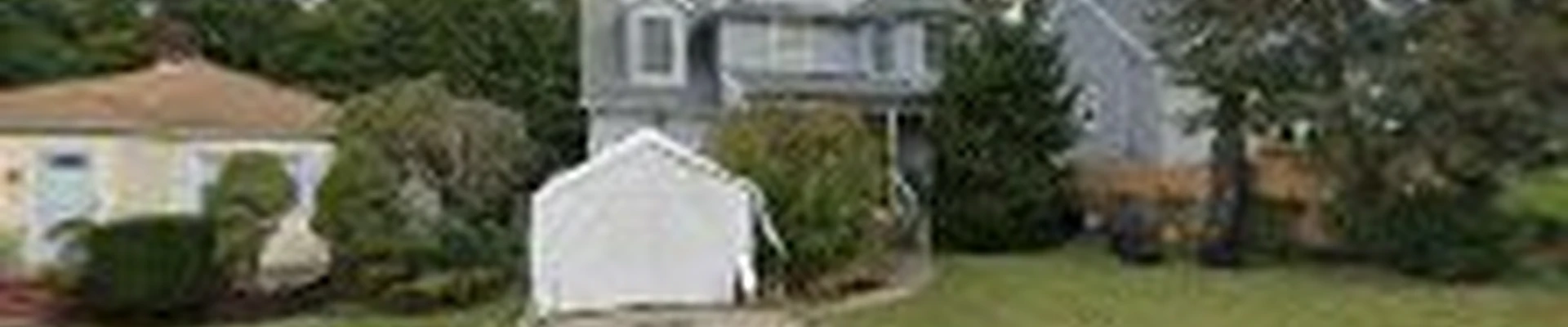 Green Mansions Tree Co