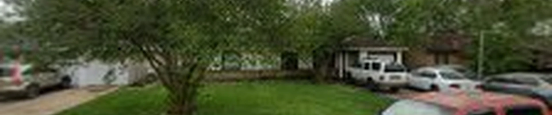 Tree operation expert tree service