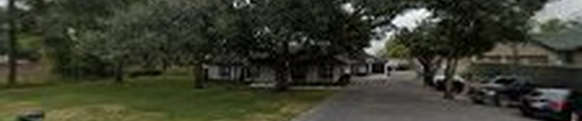 Meadows Tree Service