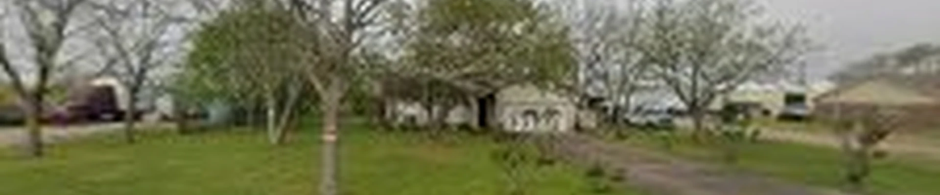 Armandos Lawn Care & Maintenance