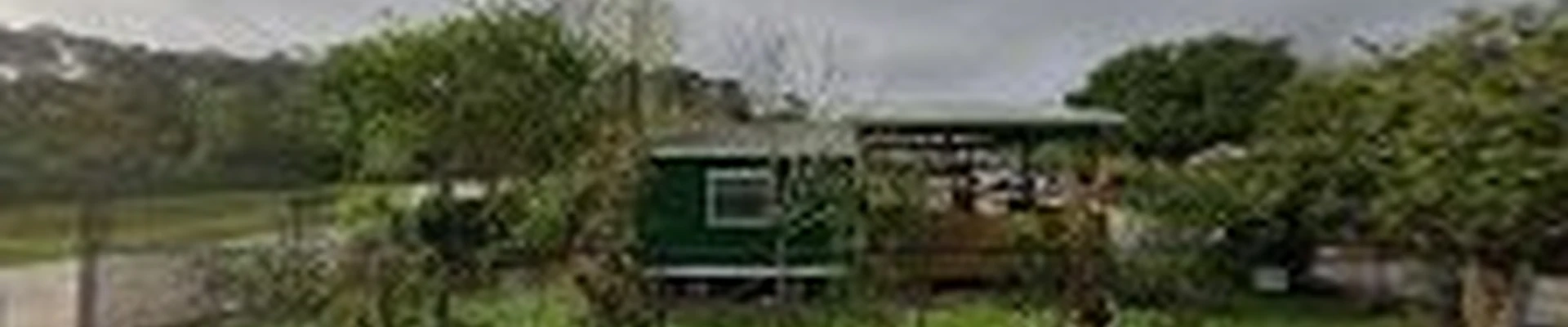 Green Trees Lawn & Special Services