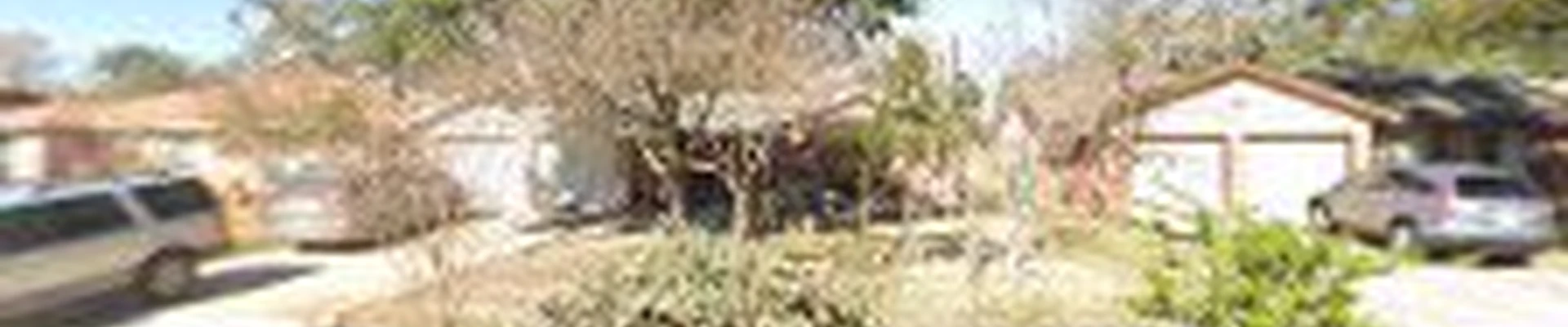 Osorio's Tree Service