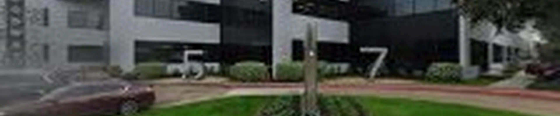 Arbor Pro The Tree Experts