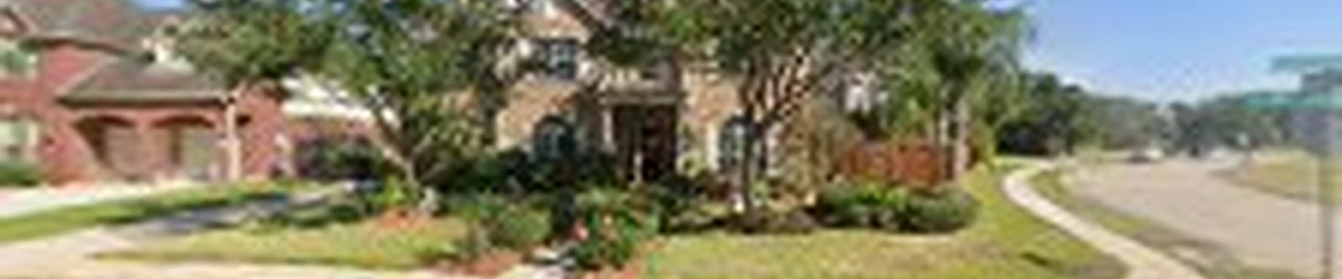 Pearland Tree Solutions