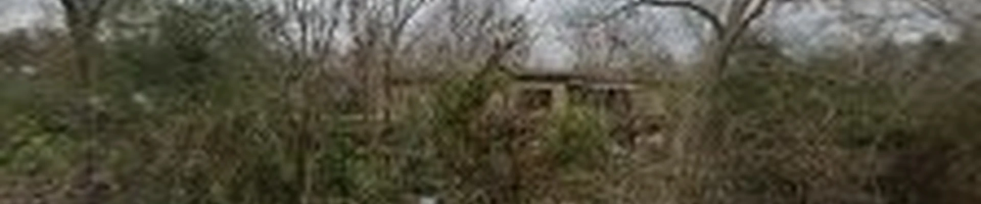 Gautreau's Tree Service