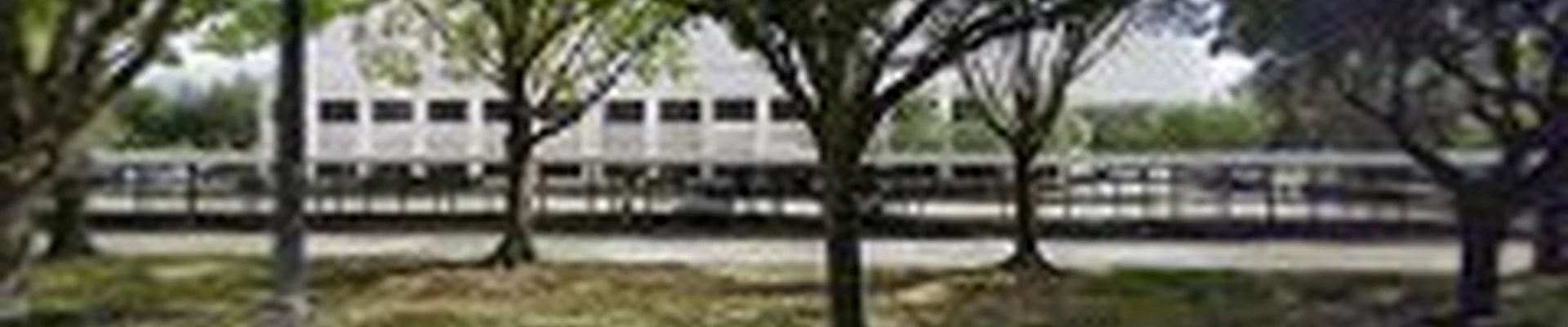 Trees Over Houston, LLC
