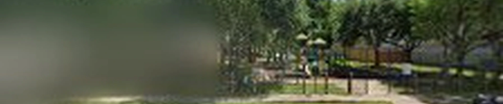 JJ Garcia Professional Tree Service