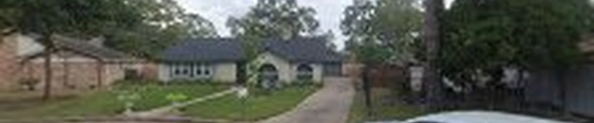 Valley oak tree care