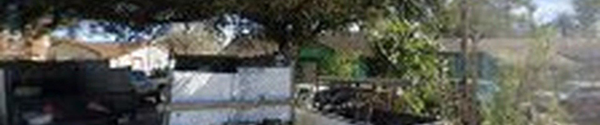 Brother's Tree Service