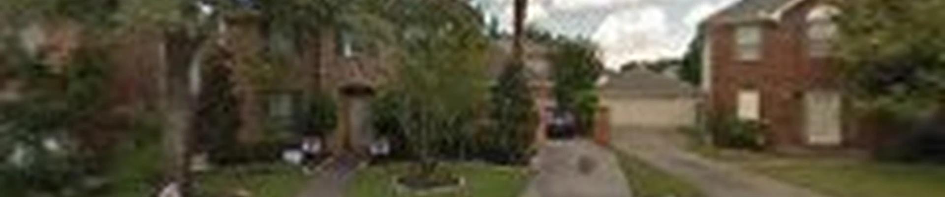 Houston Arbor Care Tree Service