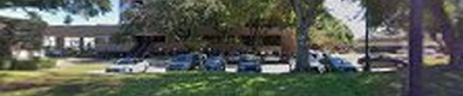 Fresh Leaves Lawn & Tree Service