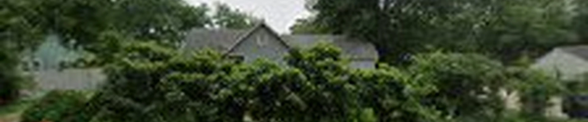 SafeClear Tree Service