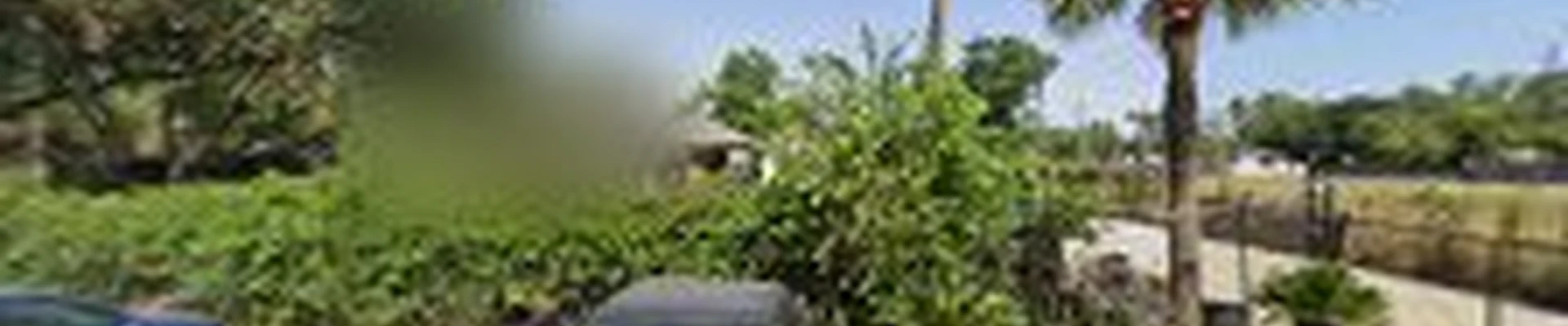Premier Tree Service
