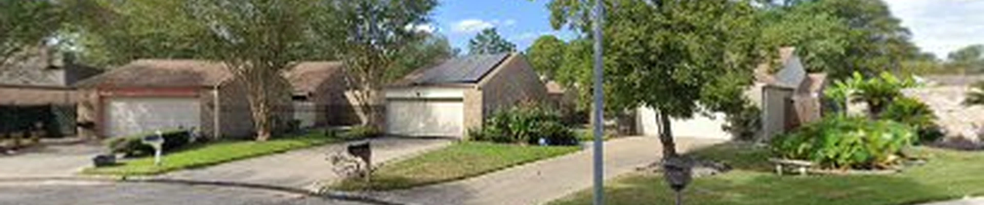 Houston Tree Service Team