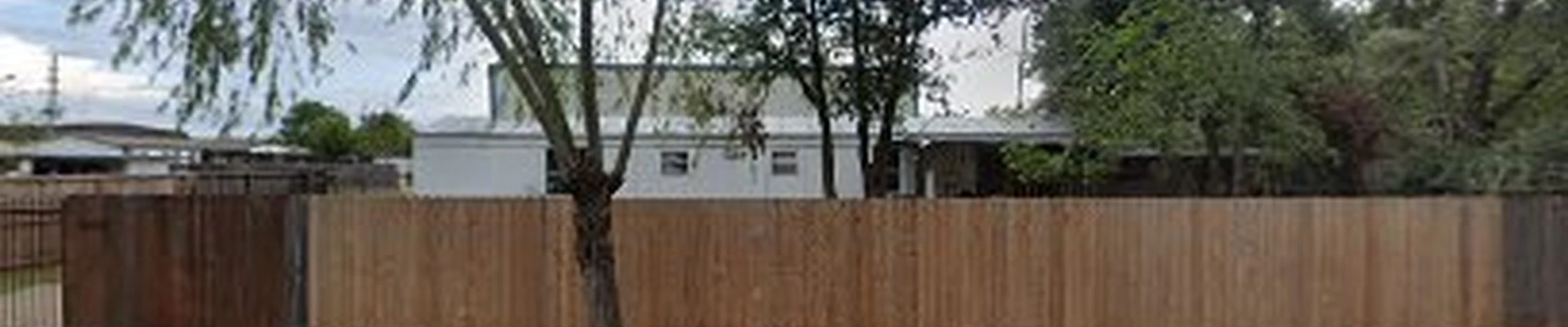 Misael Trees Service