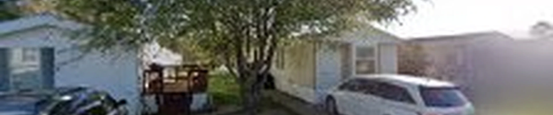 Knot Tree Service