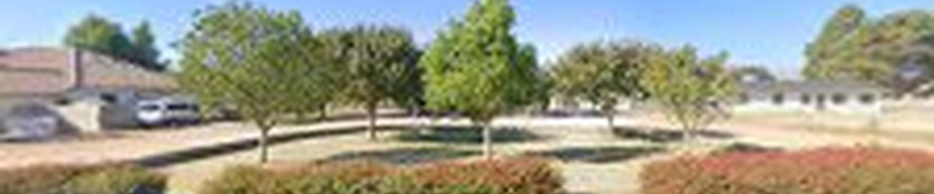Spires Tree Service