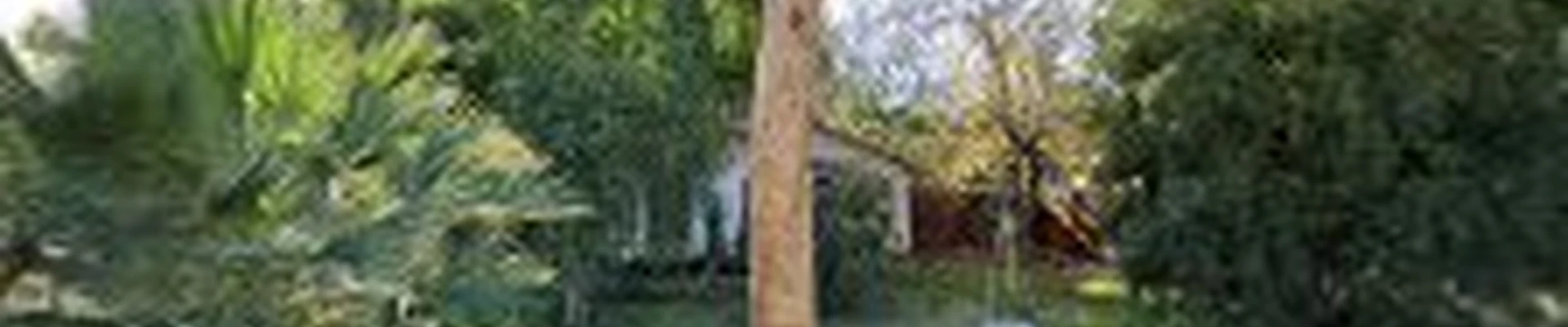 Arborvision Tree Service