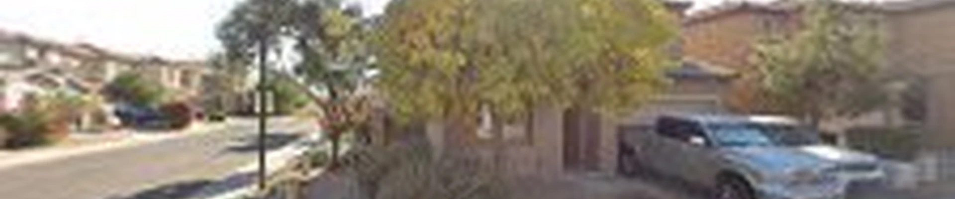 Valley Tree Masters Tree Trimming Service, Tree Removal & Tree Feeding