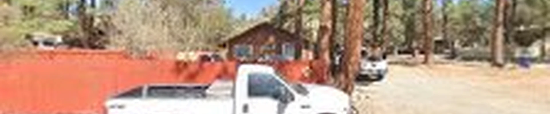 Morgan Tree Service