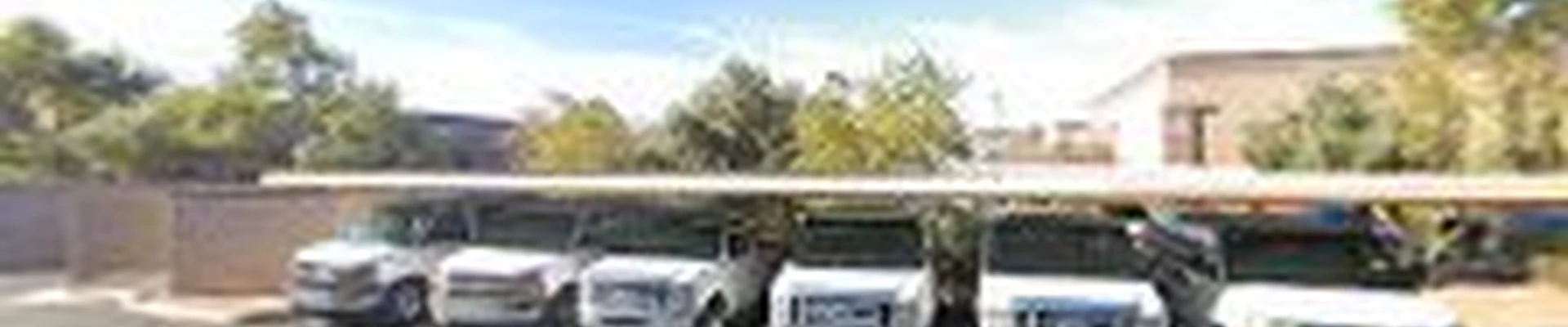 Living Tree Service