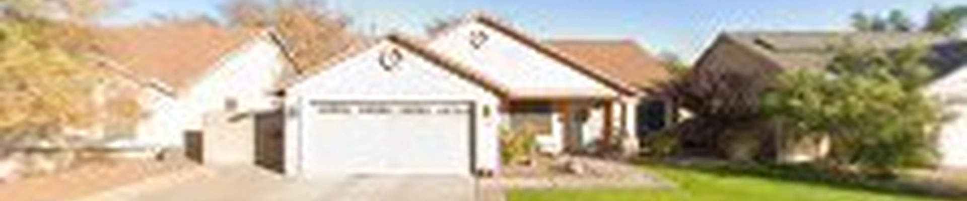 Gilbert Tree Trimmers Service