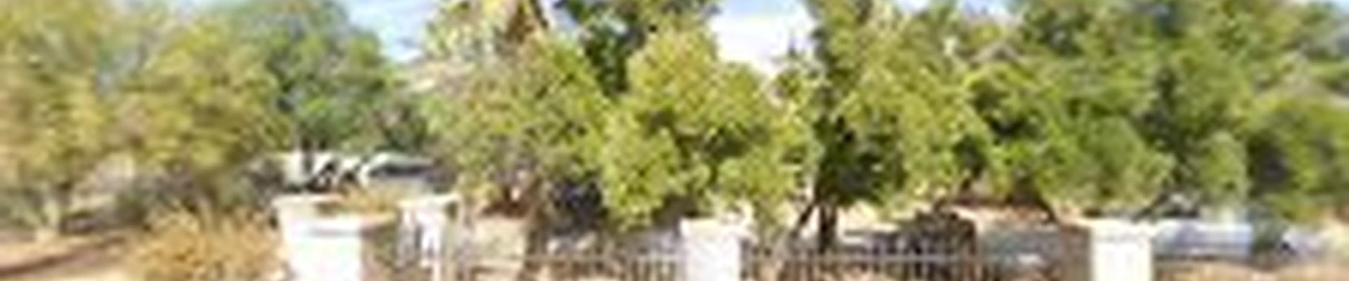 Gilbert Tree Care Service