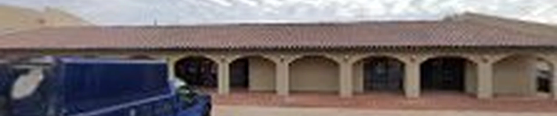 TREE REMOVAL TEMPE
