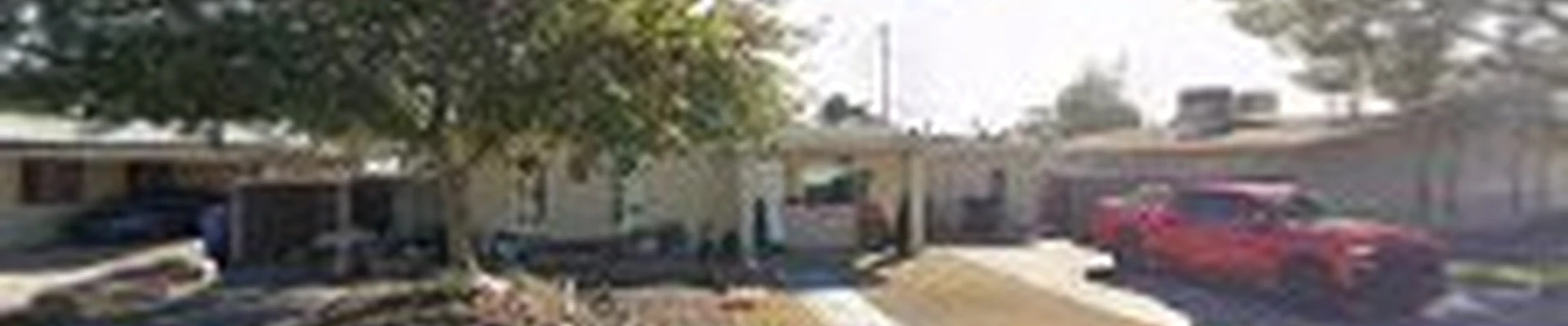 Alex and son's palm and tree service
