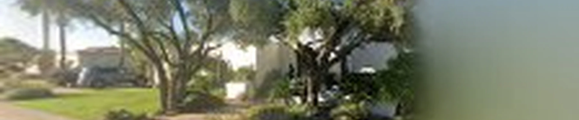 Woods Tree Trimming