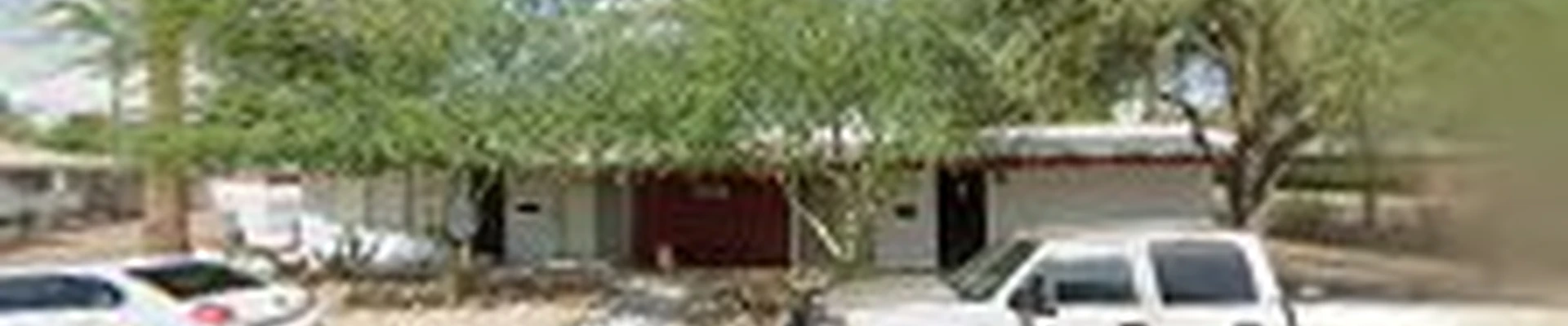 AZ Palm Trimmers