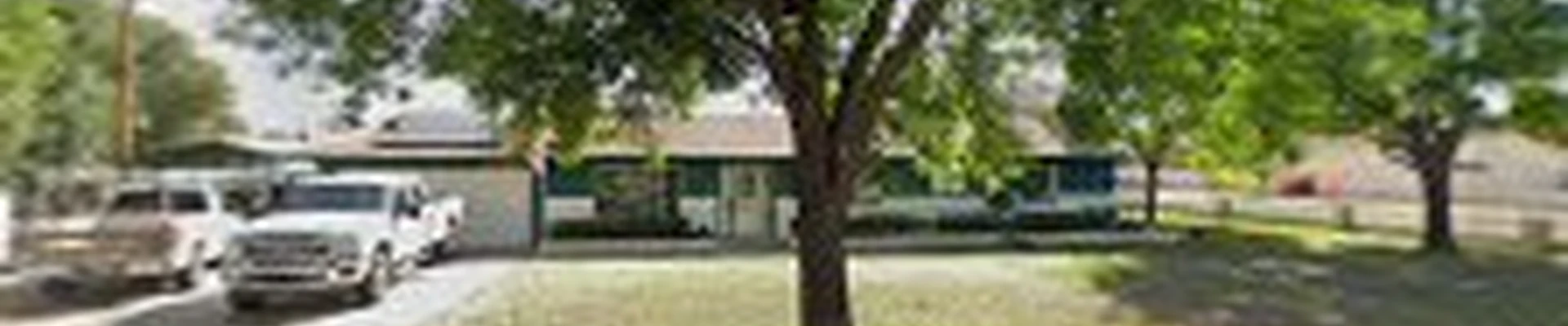 Palm Kings Tree Service