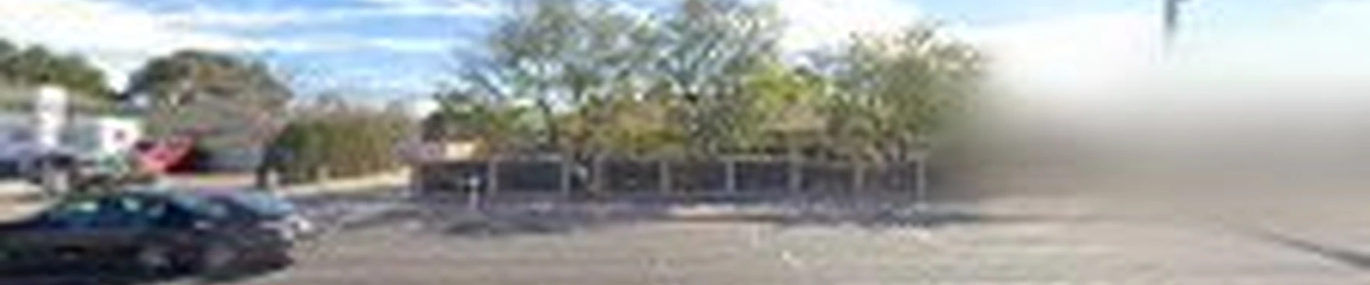 Trees by Mike