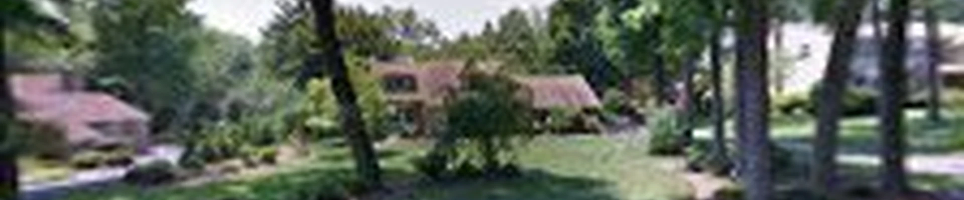 Blue Rock Tree Care