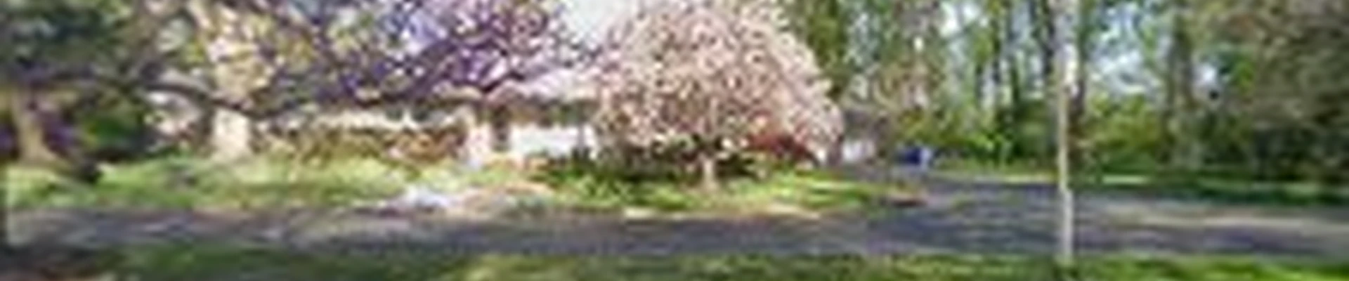 Tree Awareness Inc.