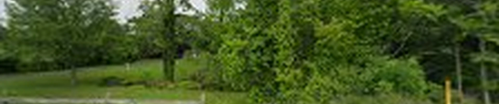 Kevin's Tree Service