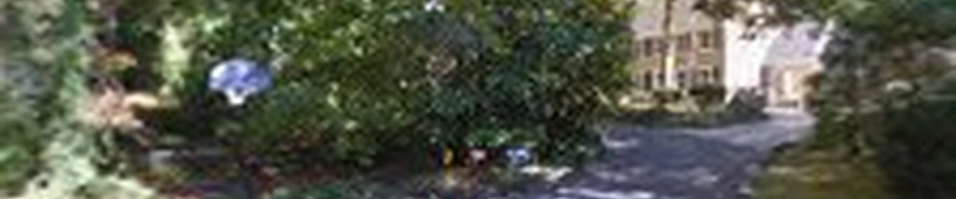 Tesla Tree Service