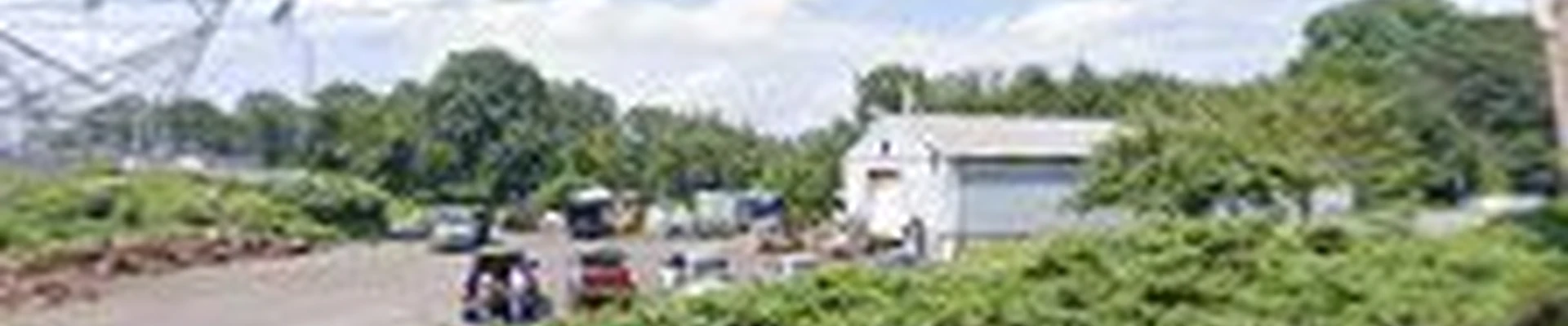 McGovern's Property Maintenance & Tree Service