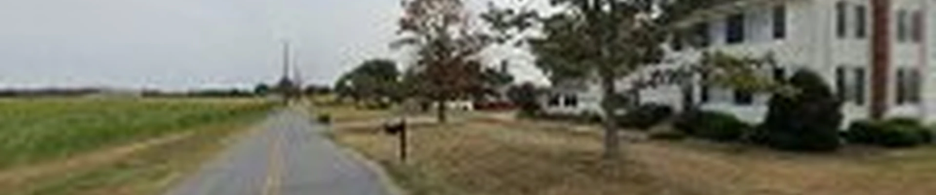 Carpenter Tree Experts Inc