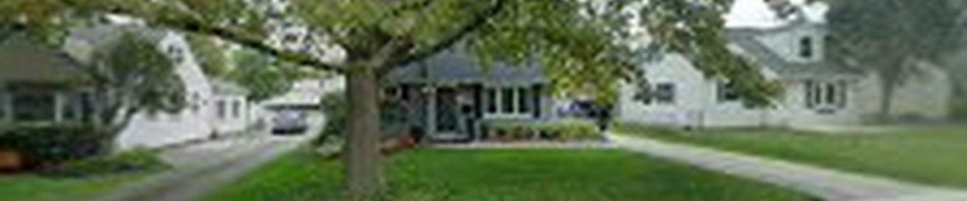 RT Tree Service LLC