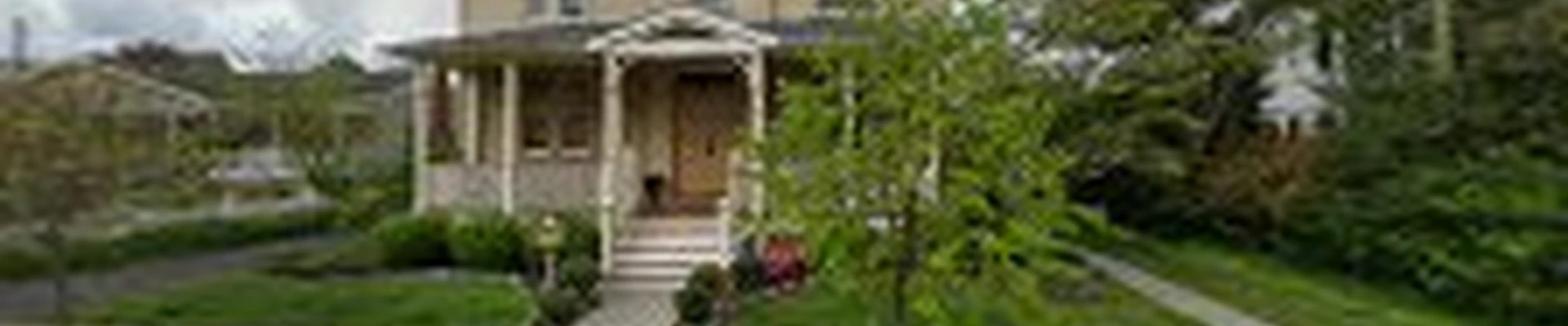 Timber Cut Tree Service