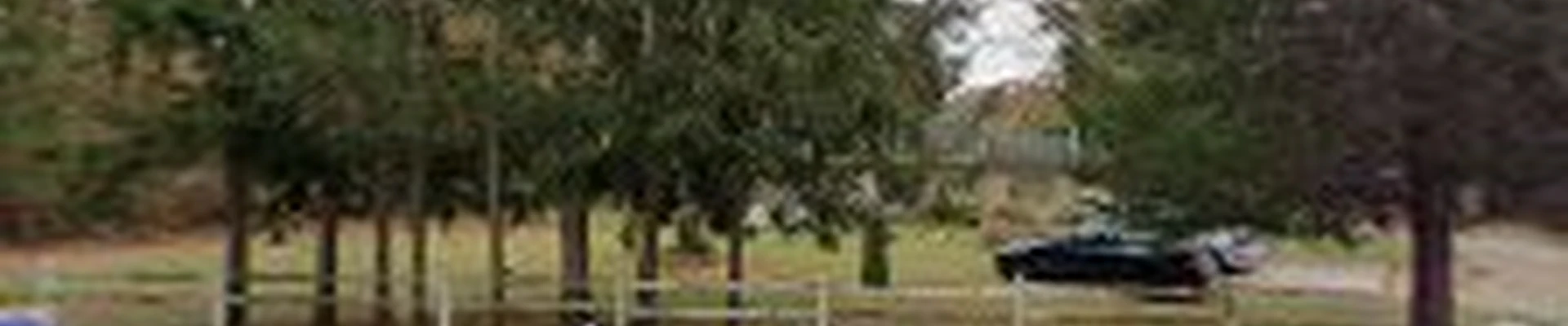 Aiken's Tree Service LLC