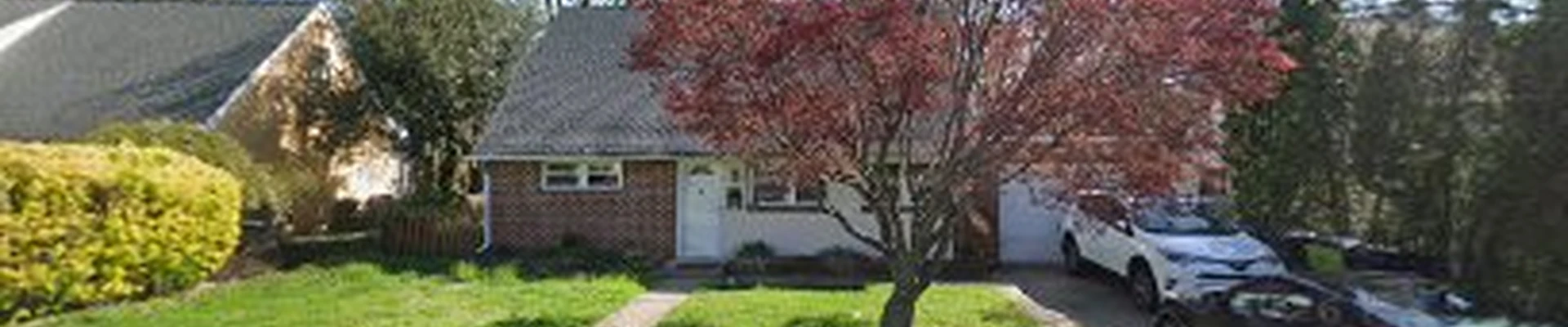 Yeison Orozco Tree Service